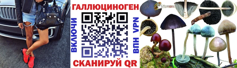 Псилоцибиновые грибы Psilocybine cubensis  блэк спрут tor  сайты даркнета какой сайт  Никольск 